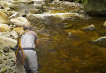Video: How to Fish Small Streams