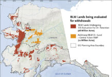Wednesday Wake-Up Call: 01.31.24 – Orvis News