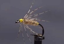Video: How to Tie the Leisenring Spider