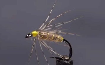 Video: How to Tie the Leisenring Spider