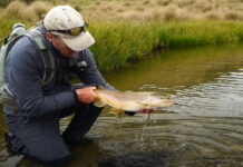 Video Pro Tips: Sight-Fishing on Cloudy Days