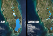 Wednesday Wake-Up Call: 02.14.24 – Orvis News