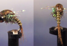 Video: How to Tie the Evil Olive Nymph