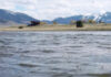 Video: How to Fish Southwestern Montana in April