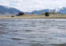 Video: How to Fish Southwestern Montana in April