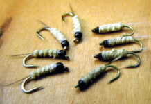 Top 5 Unconventional Patterns for Early Spring in Colorado