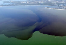 Wednesday Wake-Up Call: 03.20.24 – Orvis News