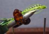 Video: How to Hold Fly-Tying Materials Out of the Way