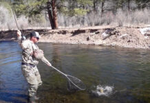 Pro Tips: How to Net a Fish by Yourself