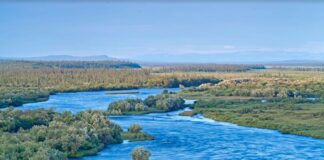 Wednesday Wake-Up Call: 04.17.24 – Orvis News