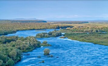 Wednesday Wake-Up Call: 04.17.24 – Orvis News