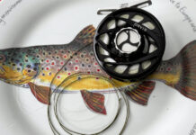 Classic Pro Tip: Stretch for Success